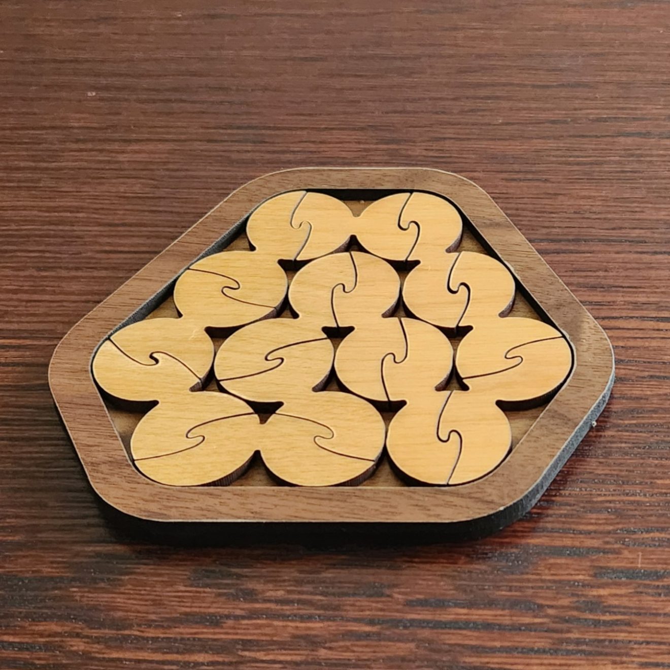 Turtle Tribulation Puzzle Puzzle Mist
